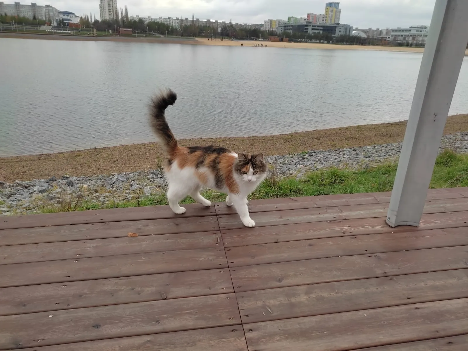 1 апрельдә беркемгә дә ышанмыйбызмы?