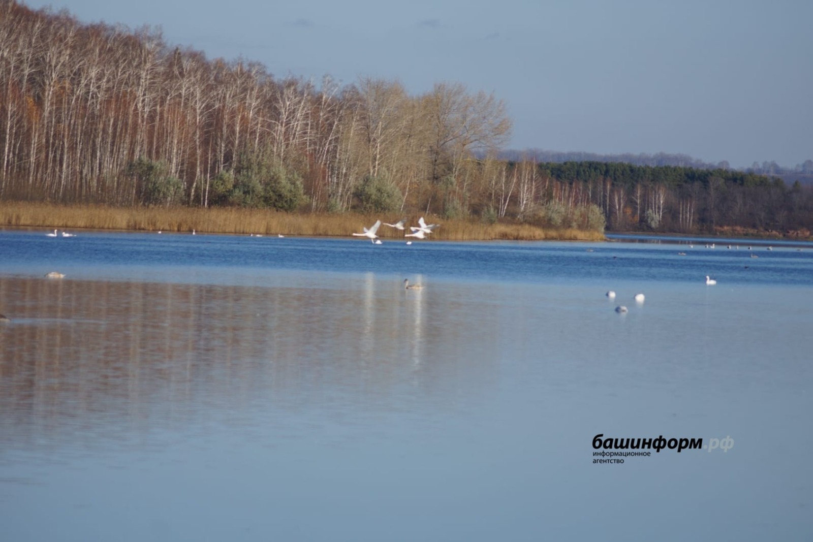 "Мине судан кемдер тартып чыгарды..."