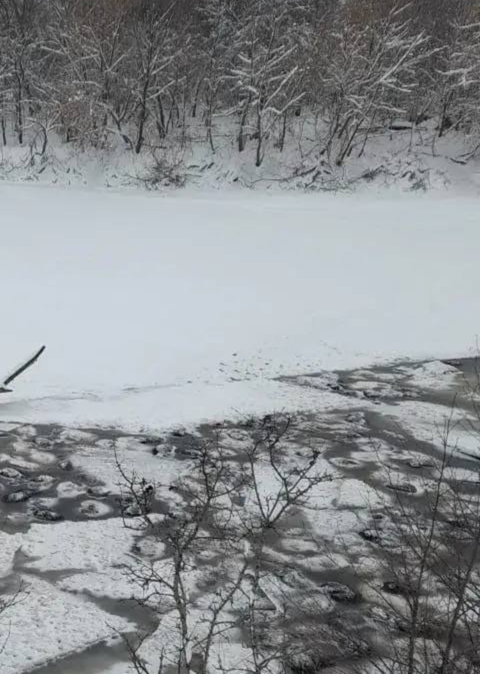 200 сарык боз астына киткән