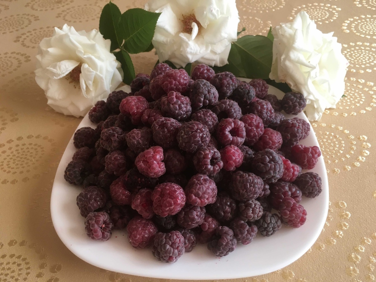 Җимешләрнең кайсыларын туңдырырга ярамый?