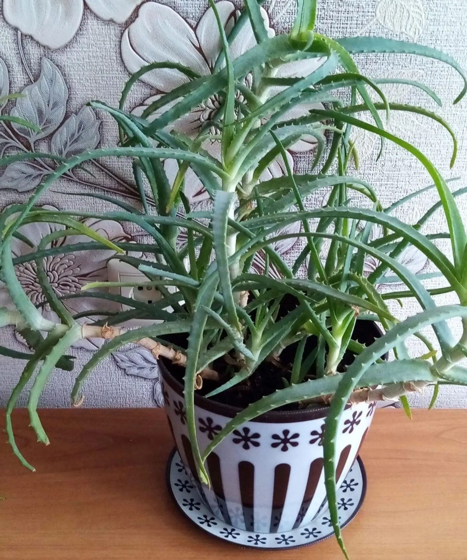 Язын аякларыгыз сызлыймы?