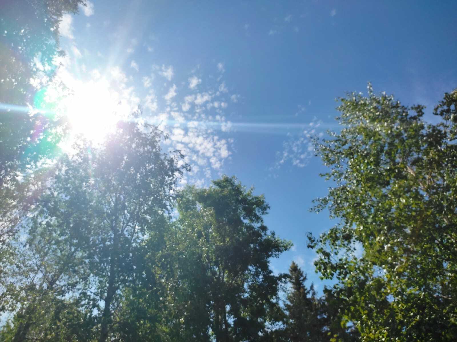 Кояшта кызыну файдалымы, зарарлымы?