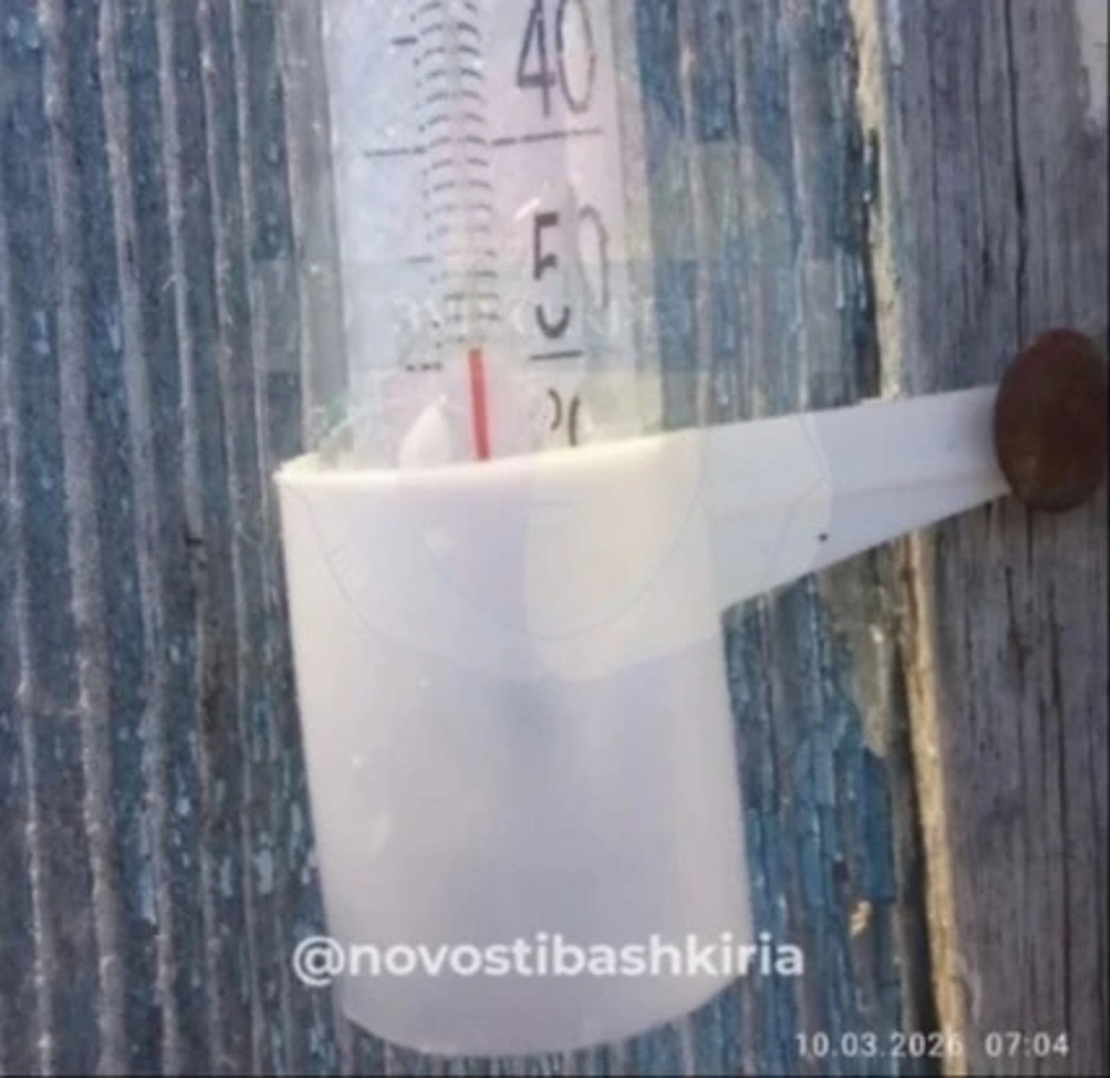 10 мартта табигать рекорд куйды!