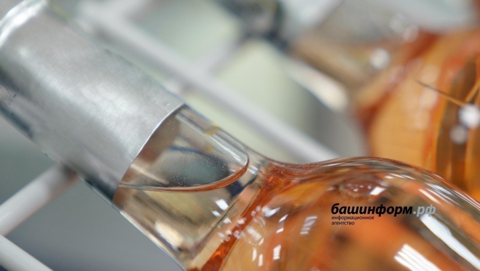 Эчкечегә кияүгә чыгаргамы?