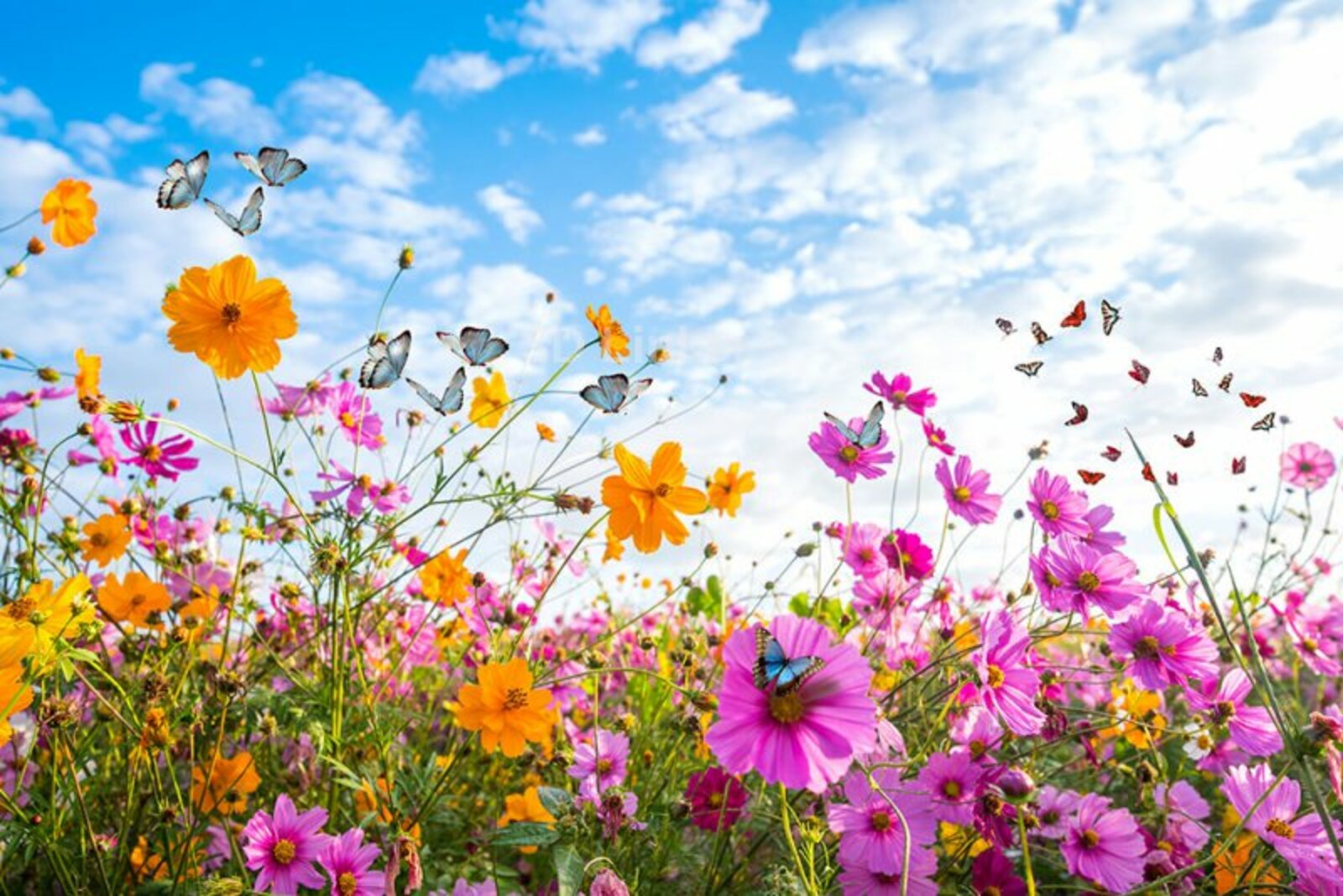 Нәрсә ул Бәрзах?