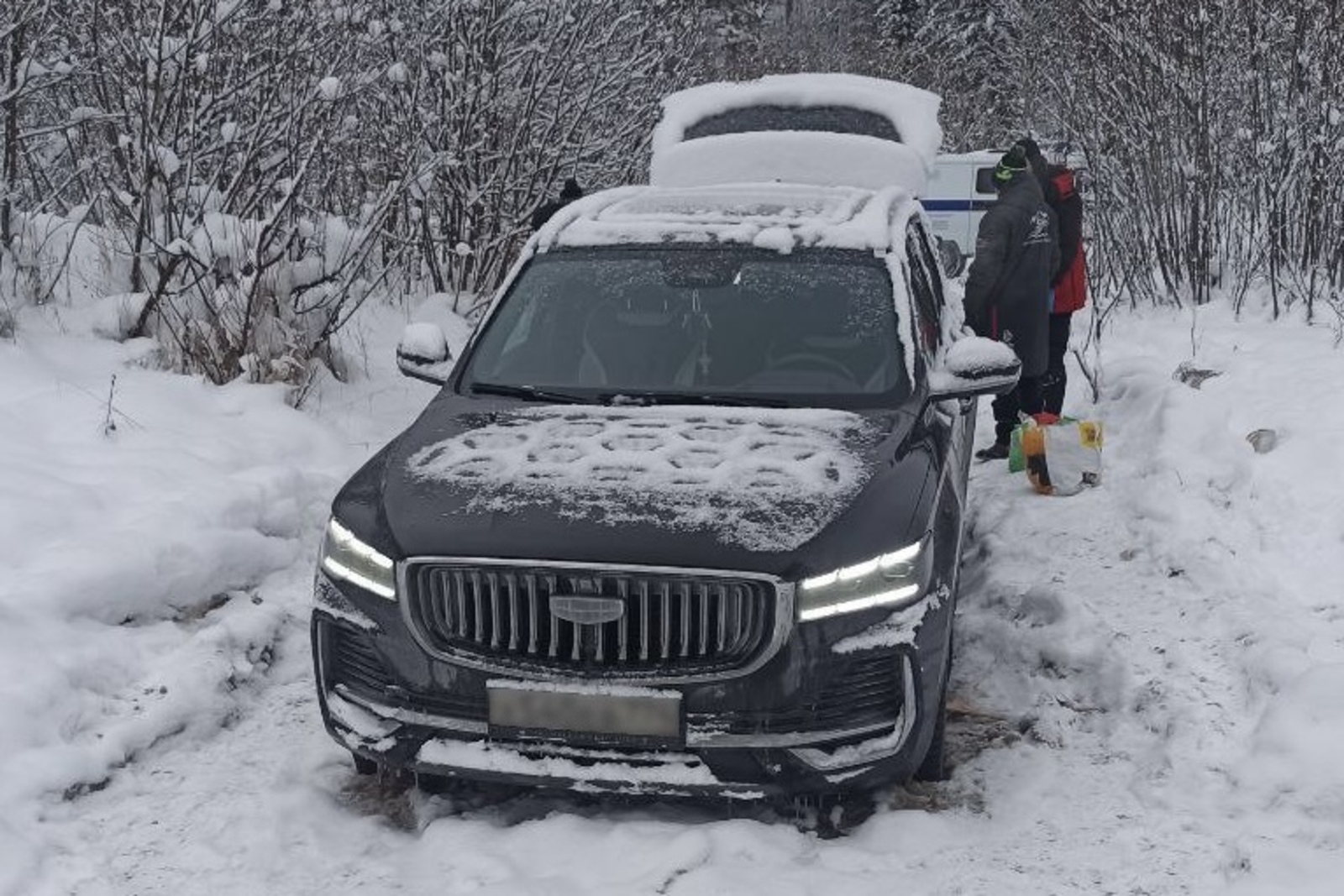 Яңа елны урманда каршылаганнар