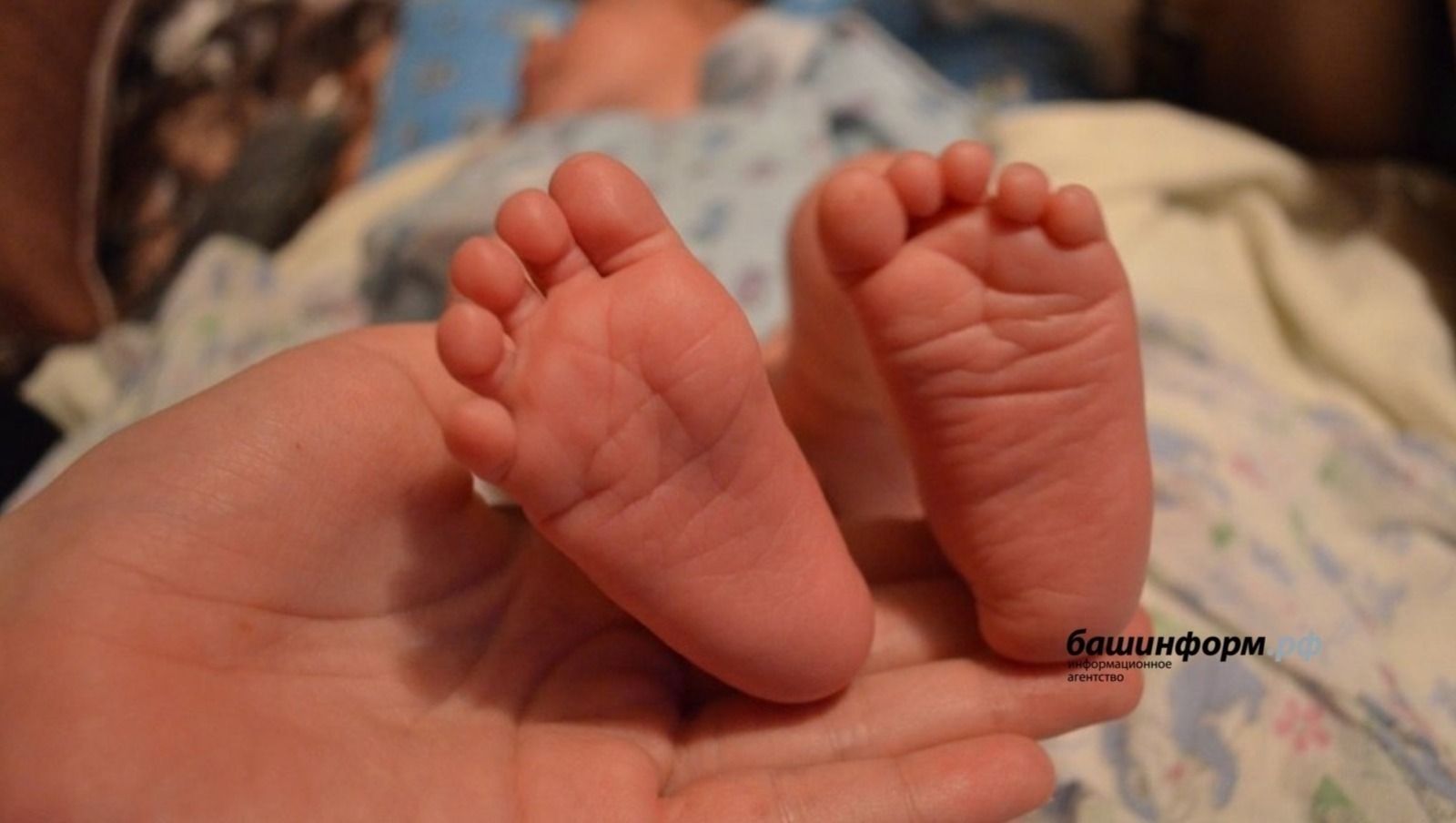 "Кызым тормышымнан юкка чыксын иде!.."