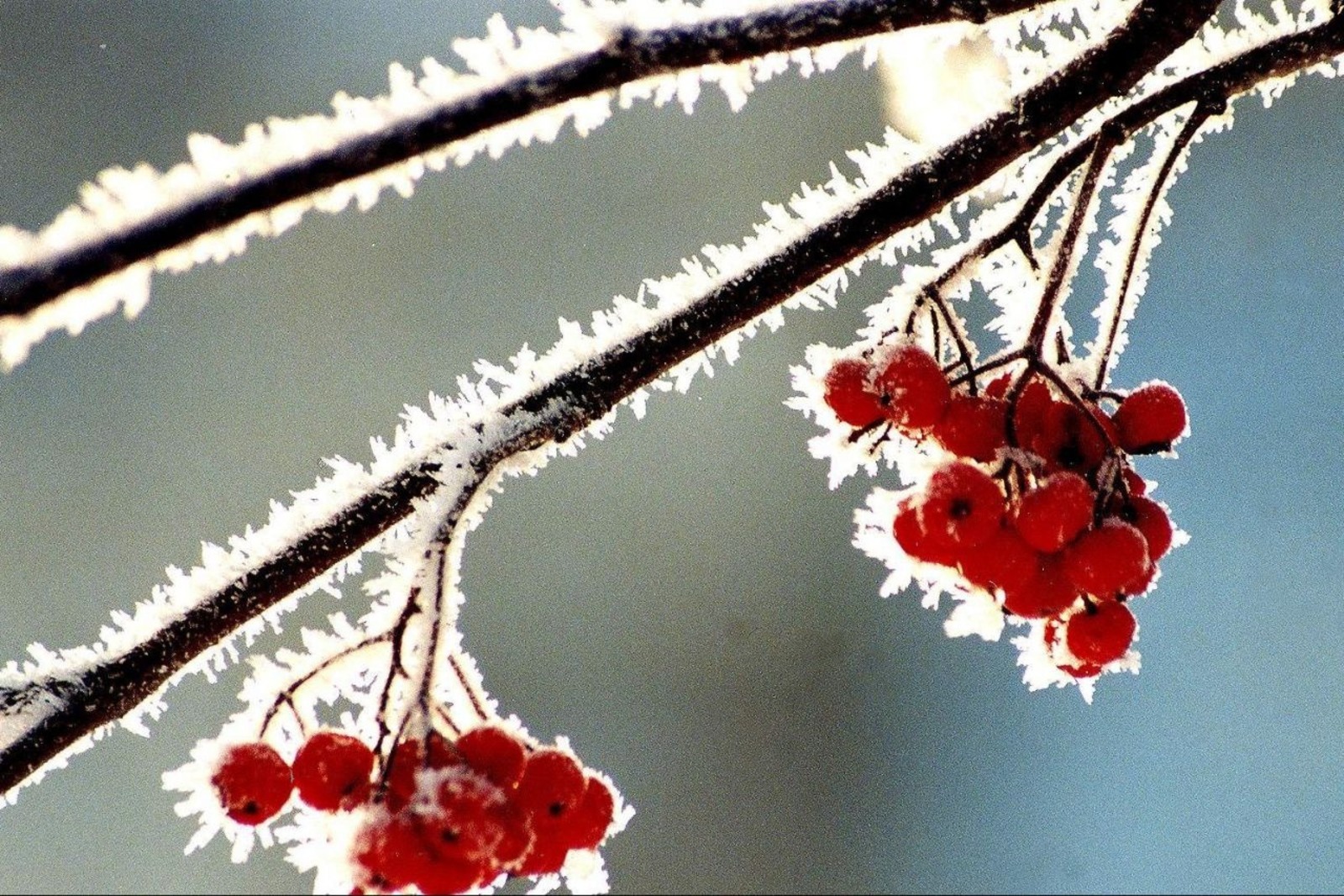 Кайчан җылыта инде?!