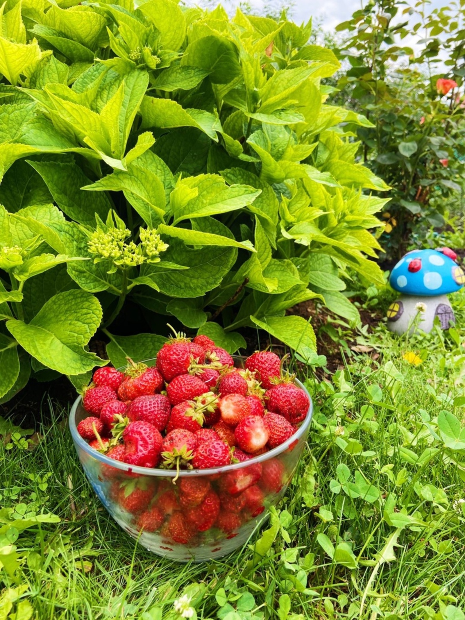 Бакчаңдагын күршеңә дә бирергә ярамый икән...