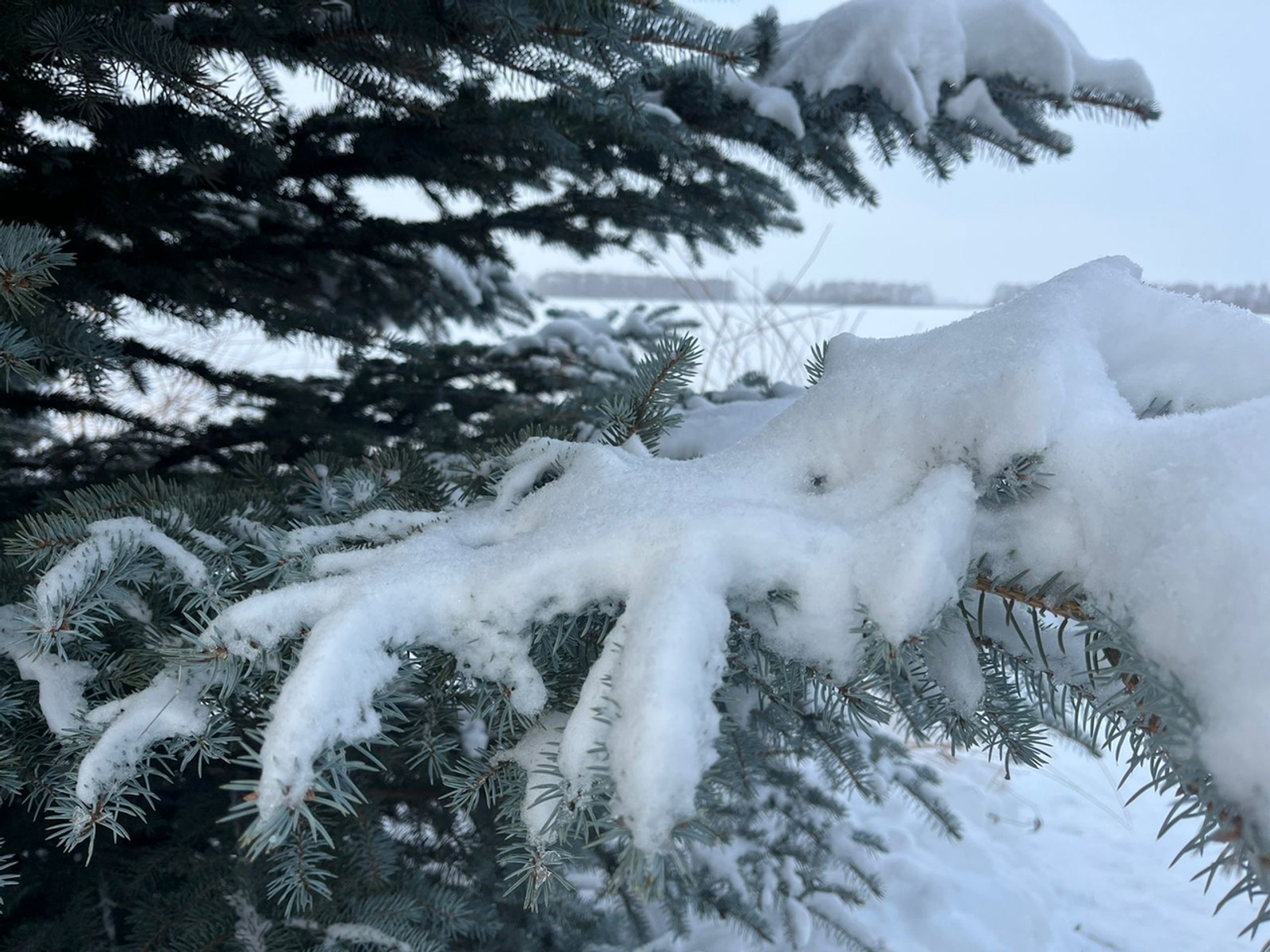 Республикага бураннар килә