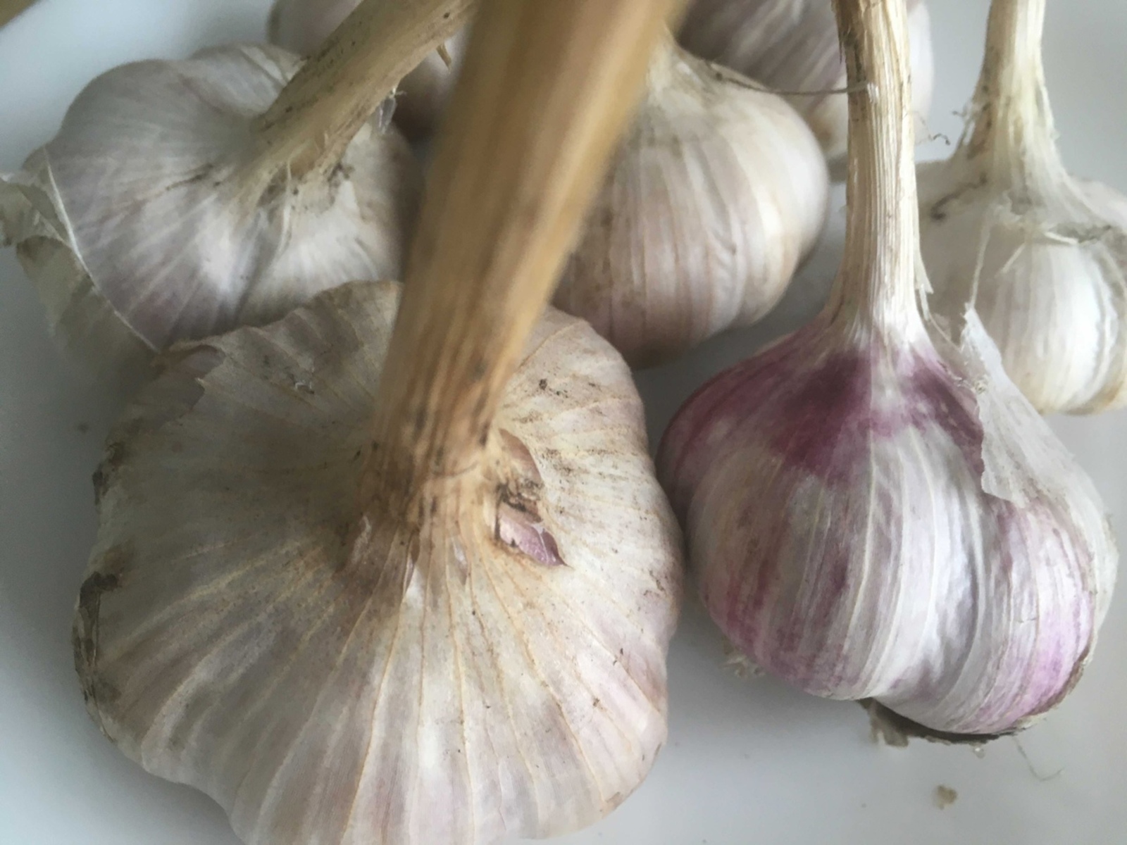 Сарымсакка килешкән урын сайлагыз!