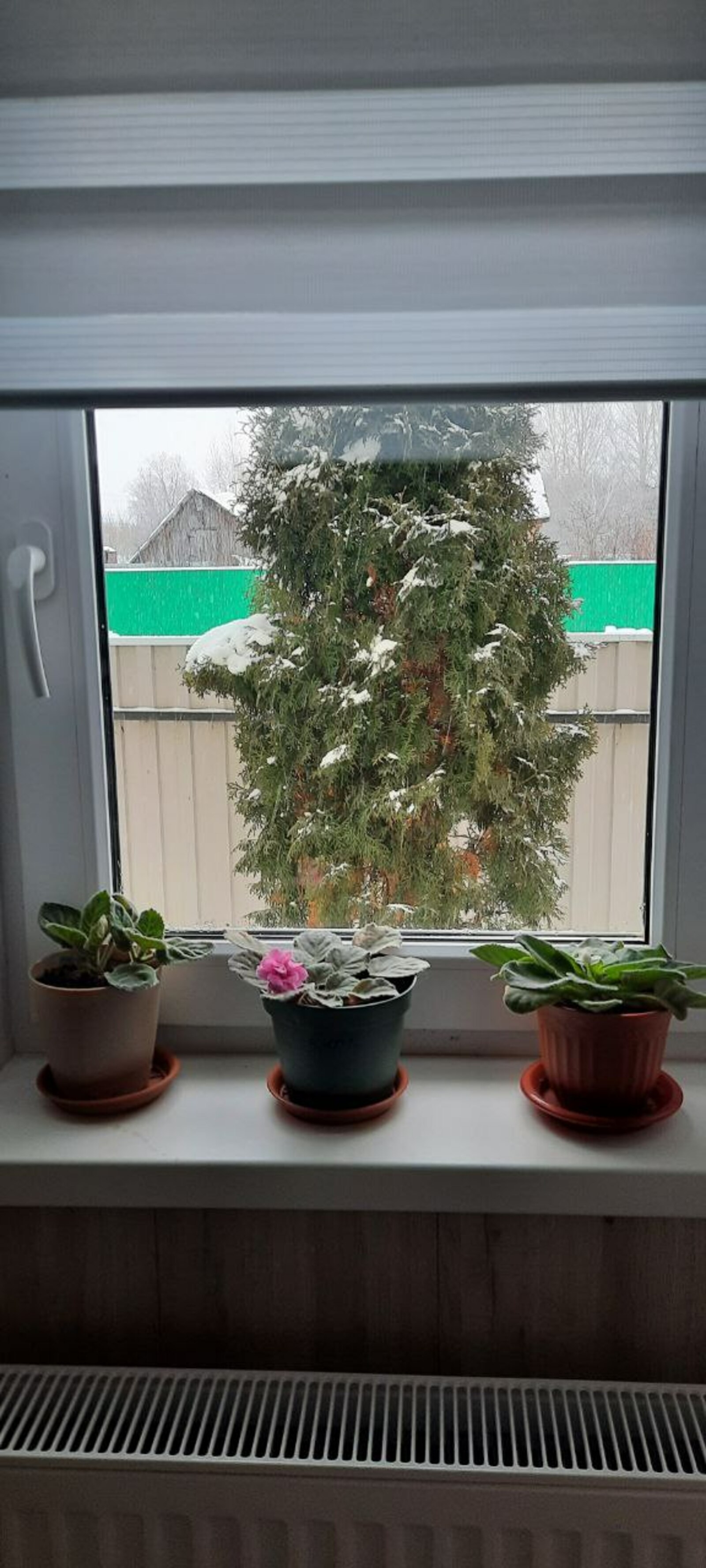 Һава торышы ниләр вәгъдә итә?