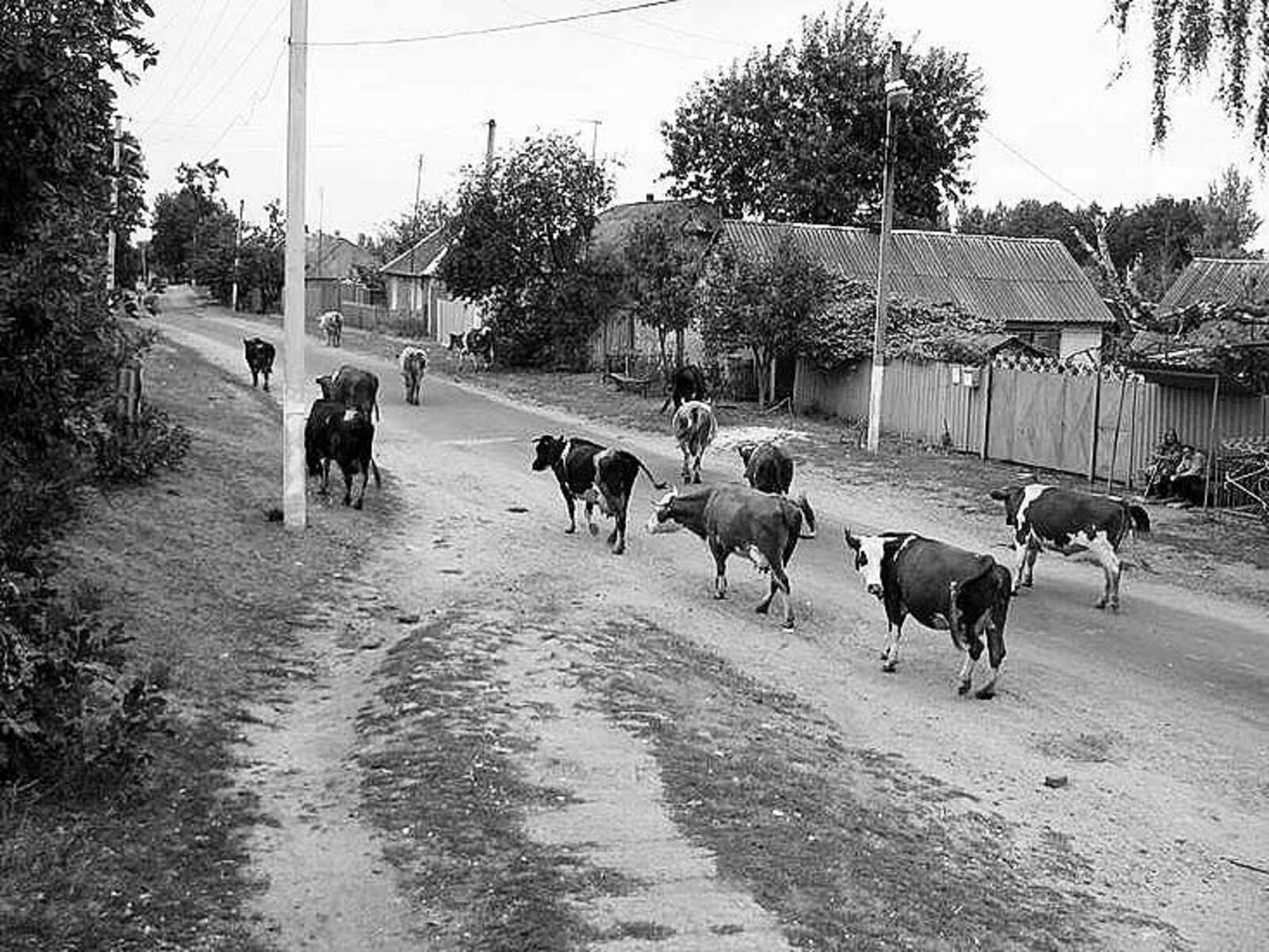 Авыл көтүен сагынып сөйләргә генә калдымы?..