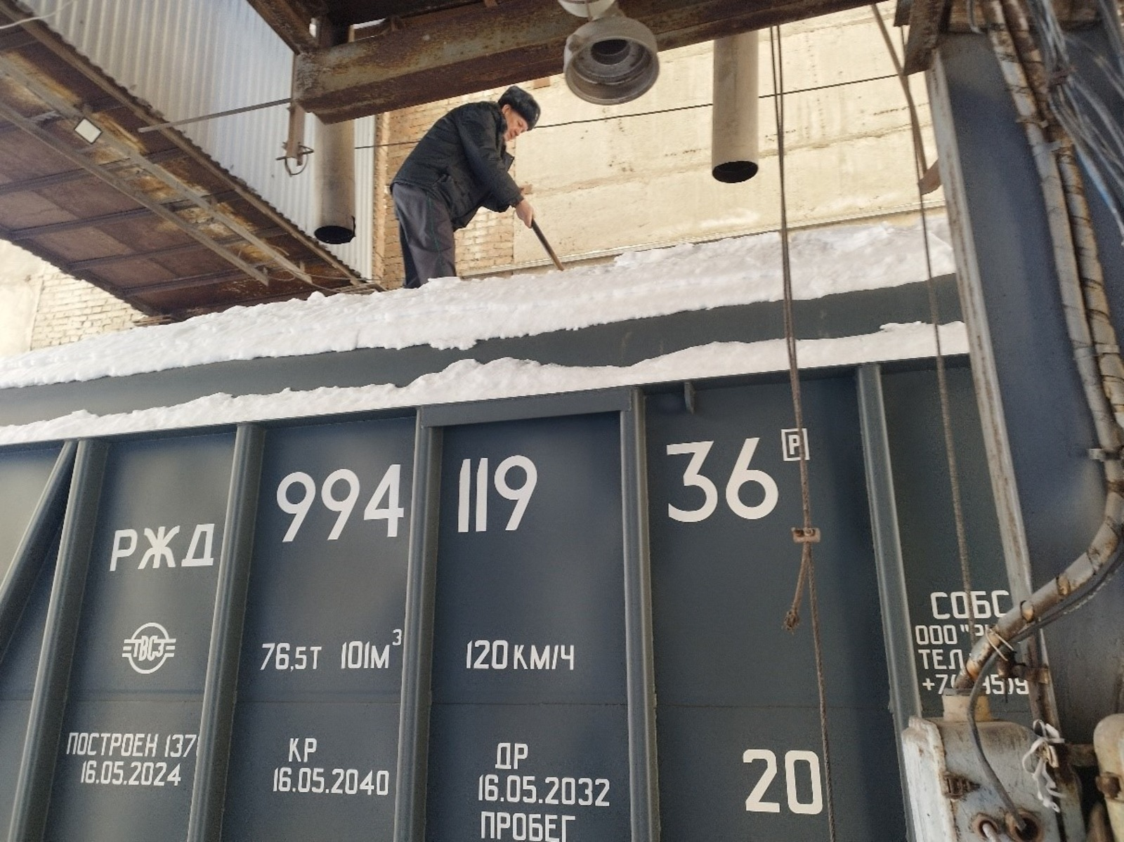 Казахстанда безнең бодайны көтеп алалар