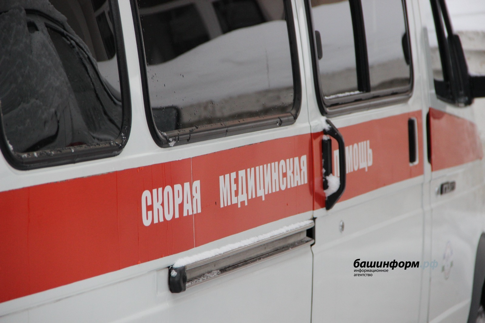 Аюның тешләре кесә телефонына туры килгән