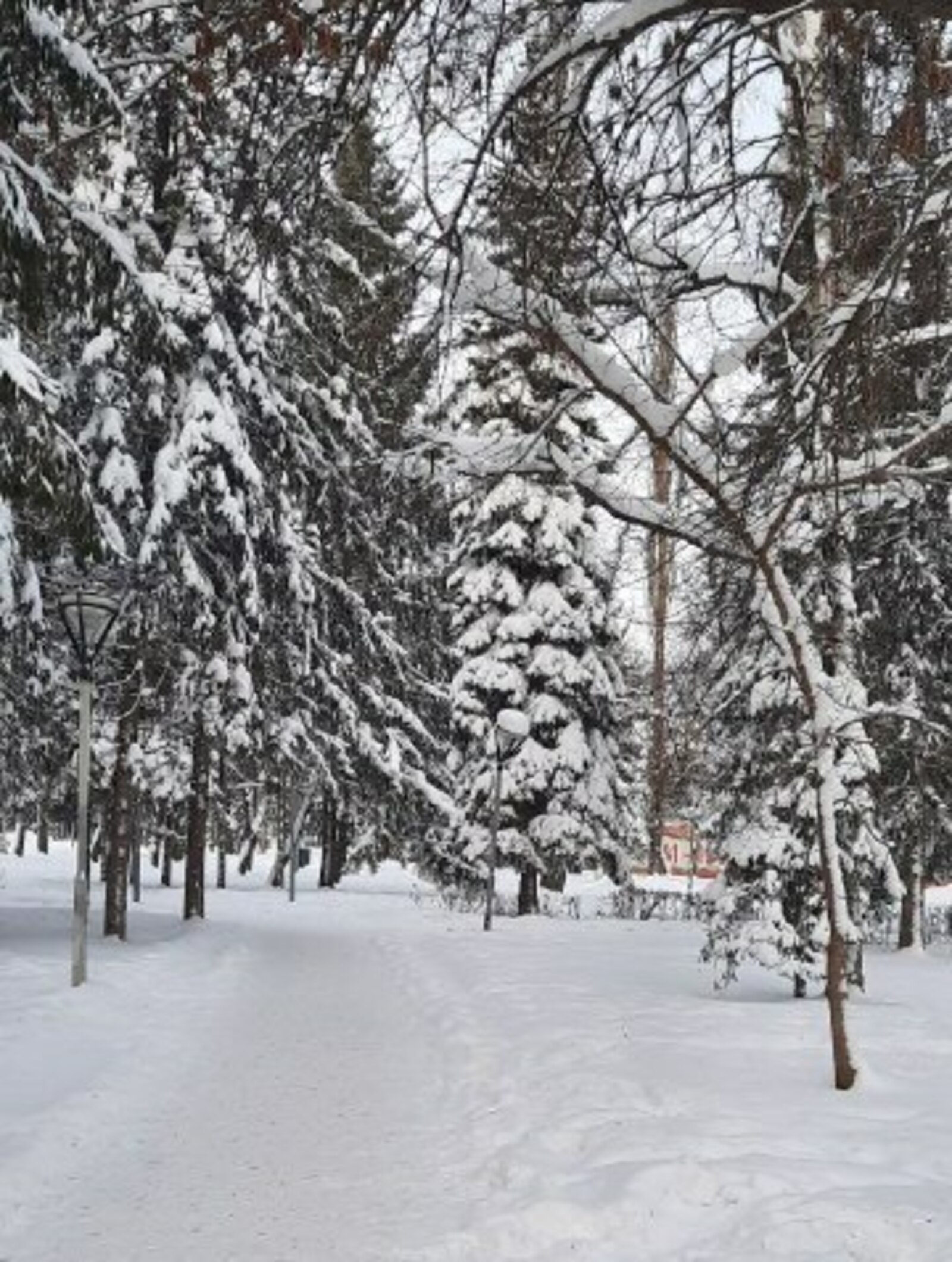 -32 градус көтелә