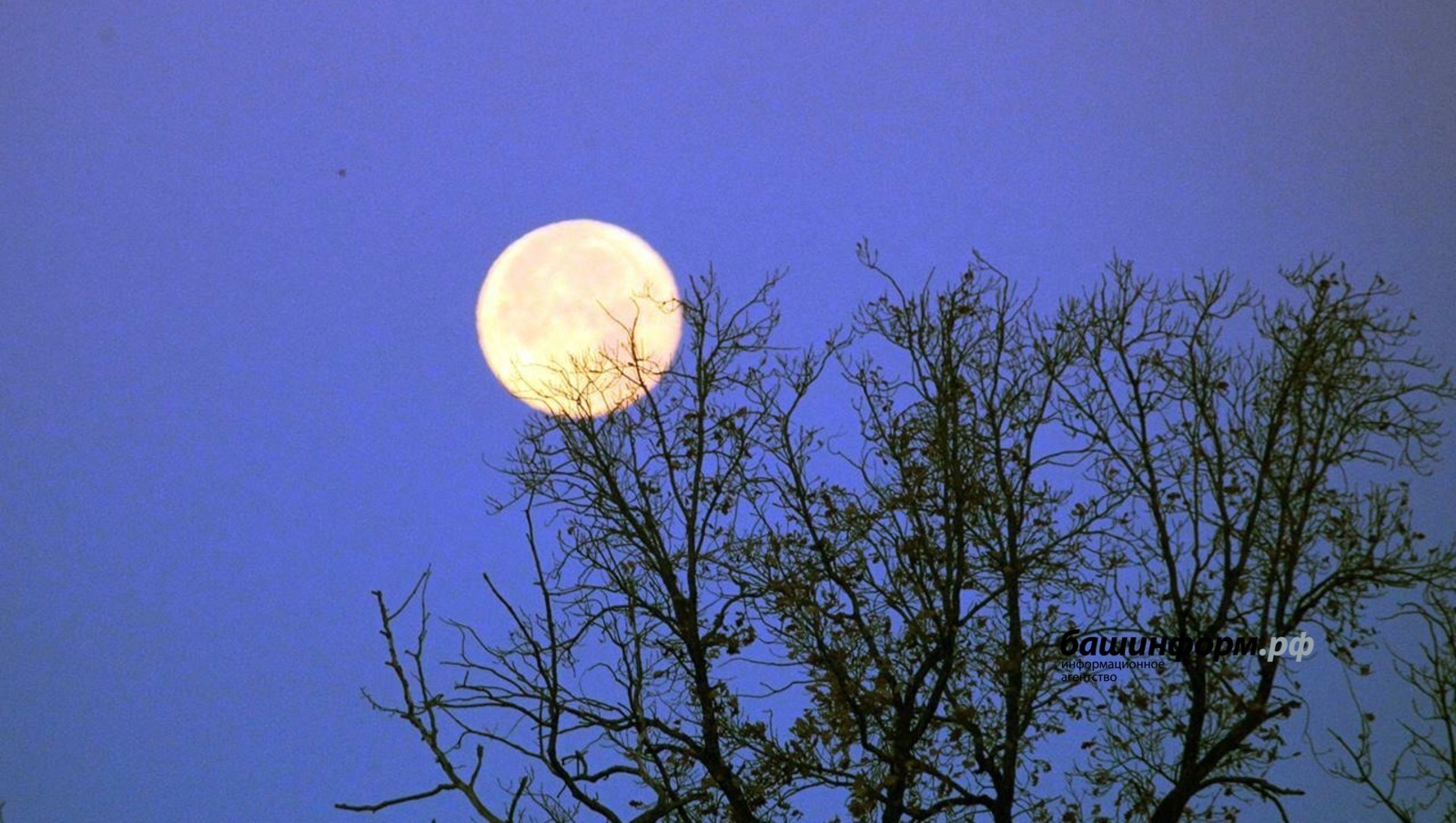 "Үз ирем карават астында качып яткан!.."