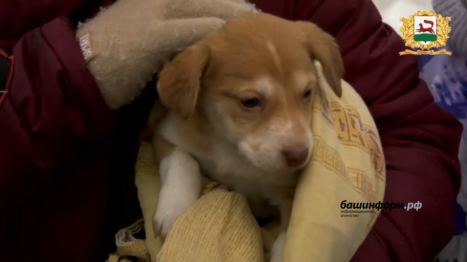 Без күрмәгән дөнья бар, диләр...