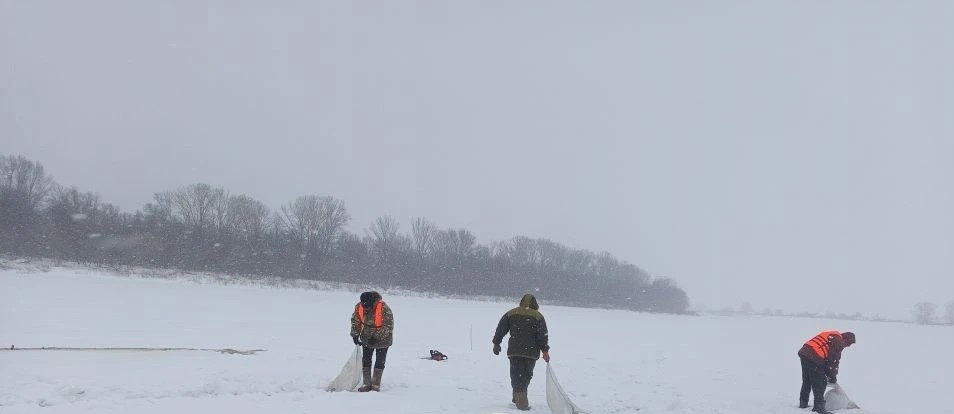 Язлар белән бергә ташкын килә!