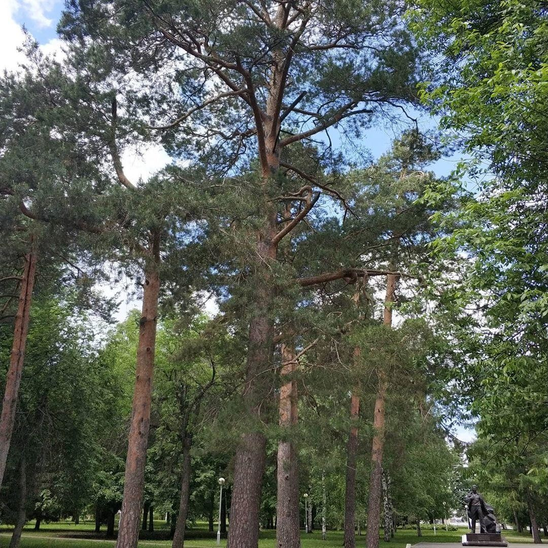 Уфа күрке – матур парклар