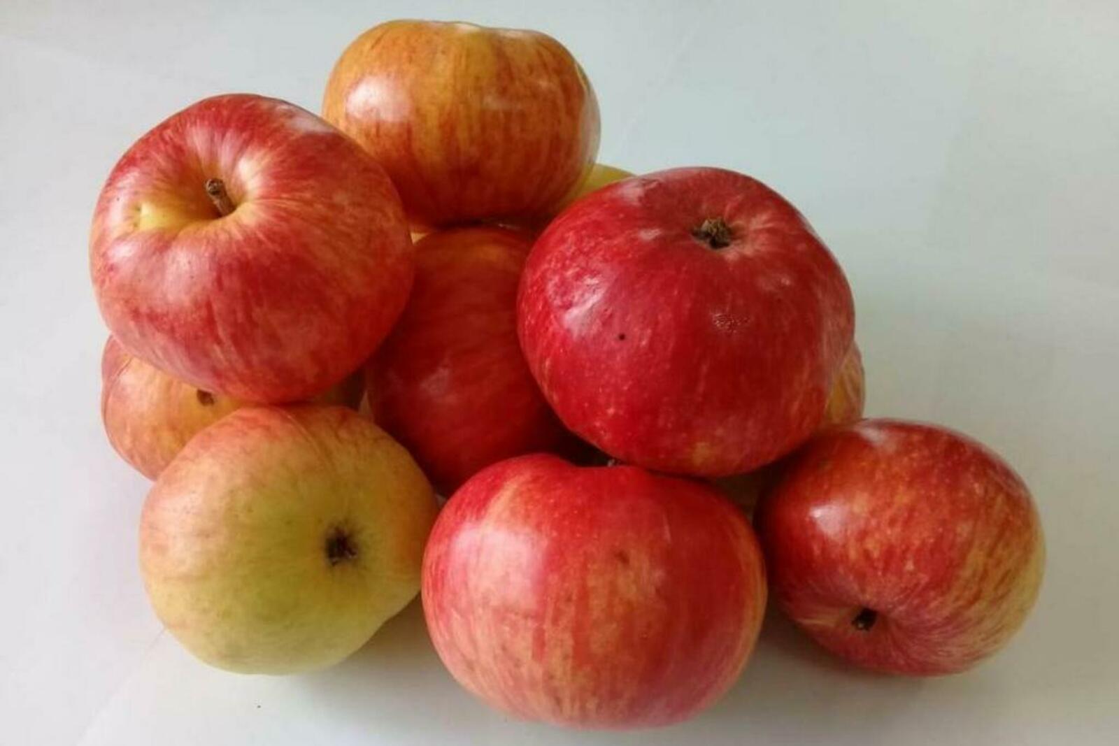 Алмалар озак саклансын өчен лайфхак