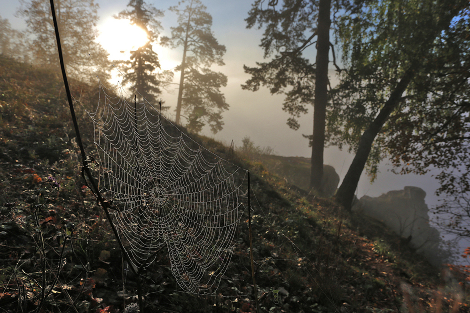 "Көтәм. Ә ул һаман аерылмый"