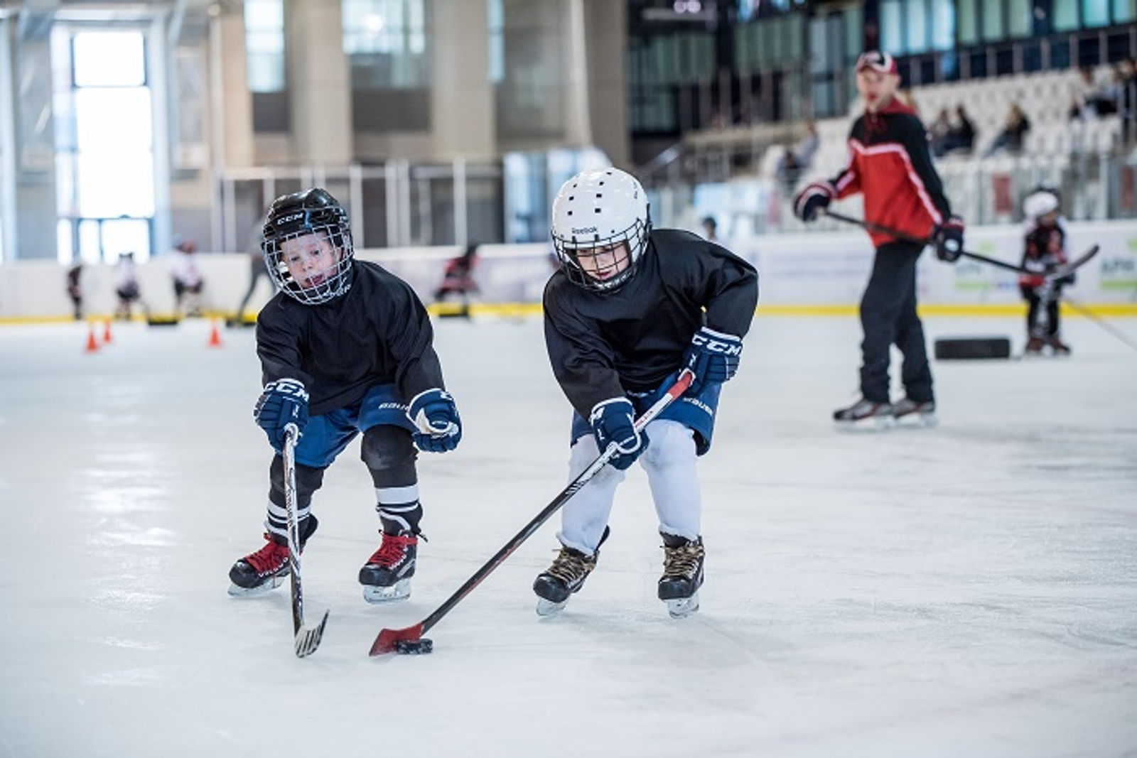 Куркаклар хоккей уйнамый!