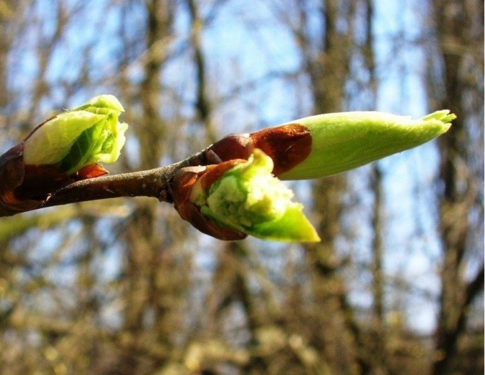 Мәхәббәтне кайтарып буламы?