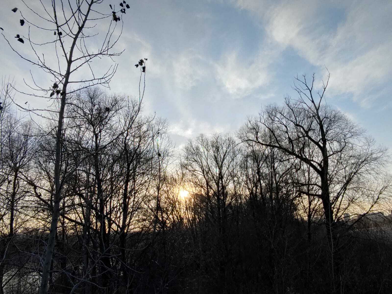 Иртәгә кылынган бер гамәл кыш буе авырулардан саклар!