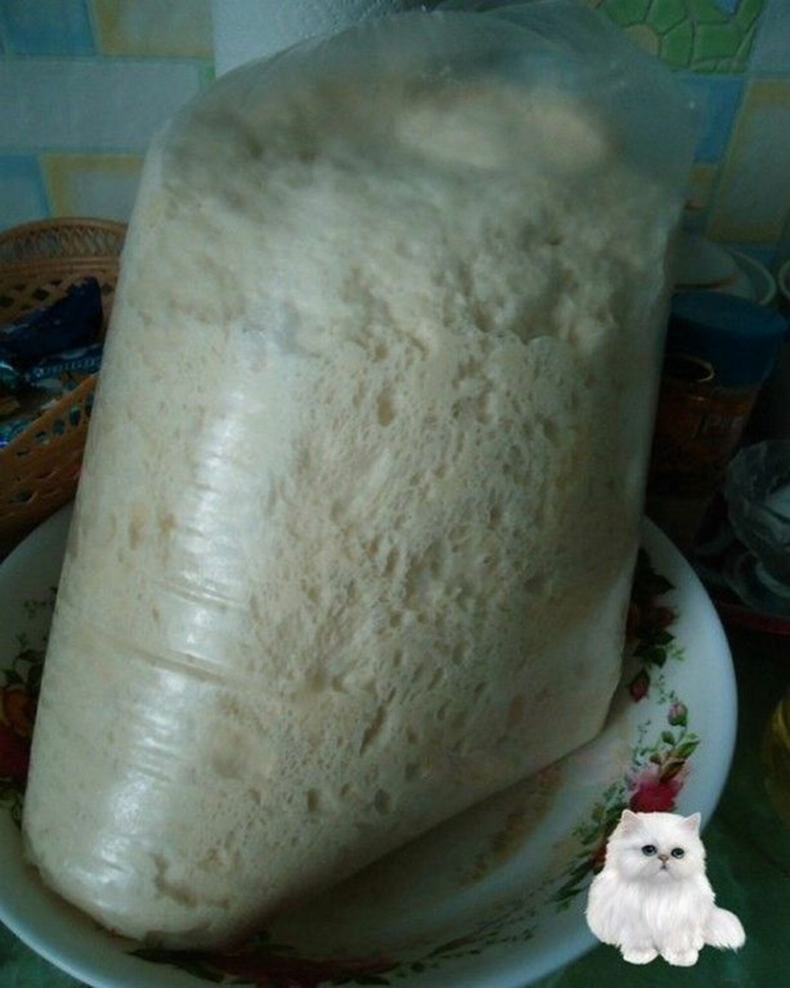 Камырны суыткычта кабартабыз